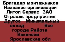 Бригадир монтажников › Название организации ­ Литоп-Сервис, ЗАО › Отрасль предприятия ­ Другое › Минимальный оклад ­ 23 000 - Все города Работа » Вакансии   . Ярославская обл.,Переславль-Залесский г.